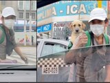 Joven limpia autos con su perrito en la espalda. Foto: Especial