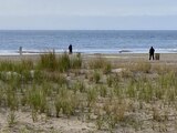 Tres niños fueron hallados muertos en playa de Coney Island, luego de que presuntamente su madre los ahogó