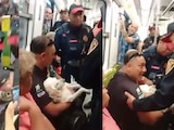Un usuario fue desalojado del Metro de la CDMX este viernes; transportaba a su perrito herido.