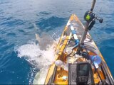 VIDEO. Joven sufre feroz ataque de tiburón en su kayak; así fue el aterrador momento.