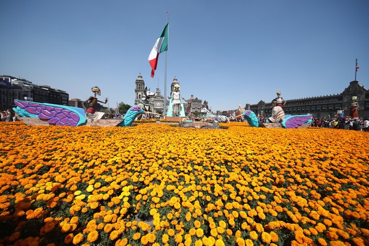 Tapete en Ofrenda Monumental está elaborado con más de 100 mil plantas de cempasúchil.
