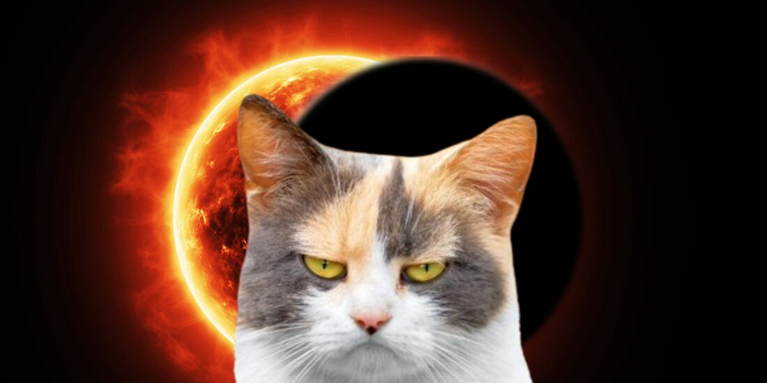 El eclipse solar podría afectar el comportamiento de los animales.