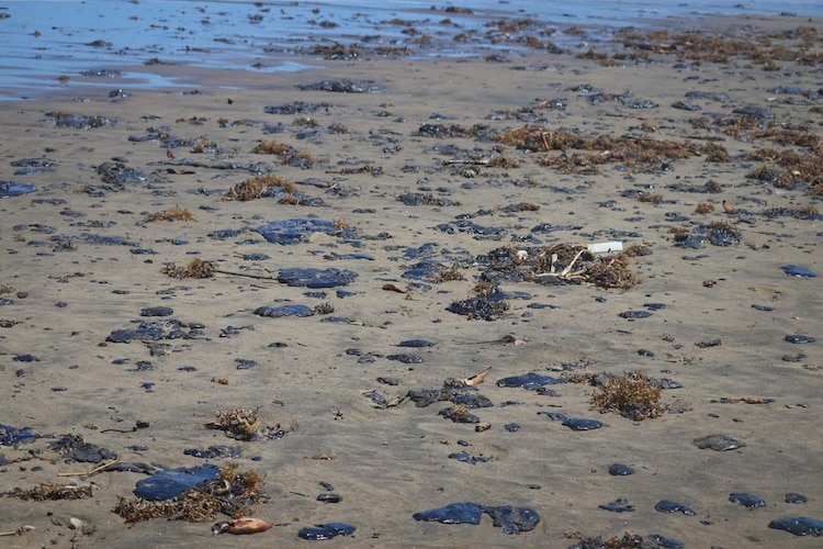 El director de Pemex, Víctor Rodríguez, indicó que en un inicio el derrame en el Golfo de México había sido negada por áreas operativas.