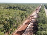 Por el amparo se deberán frenar las obras del Tren Maya en los municipios de Mérida, Izamal y Chocholá.