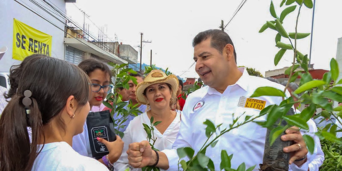 'Sembremos esperanza': Alejandro Armenta realiza jornada de reforestación en Chignautla