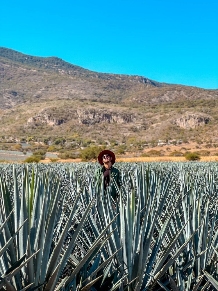 Pénjamo, en el estado de Guanajuato.