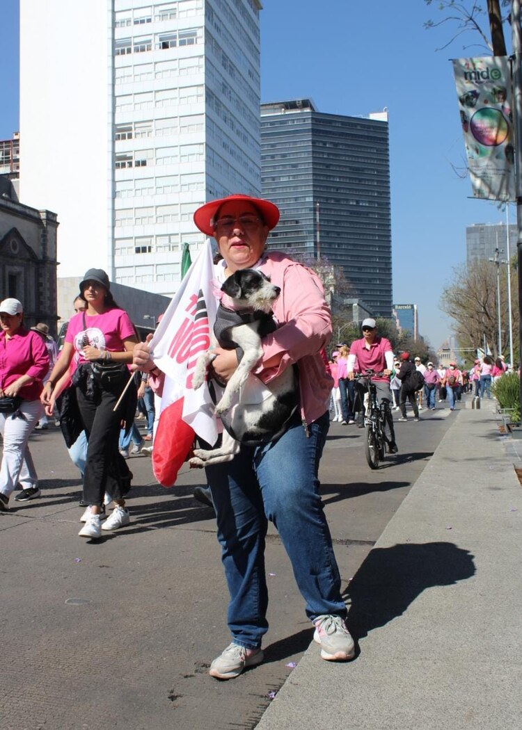 Una de las asistentes a la Marcha en defensa del INE, carga a su perrito, mientras se dirigen hacía el Zócalo capitalino