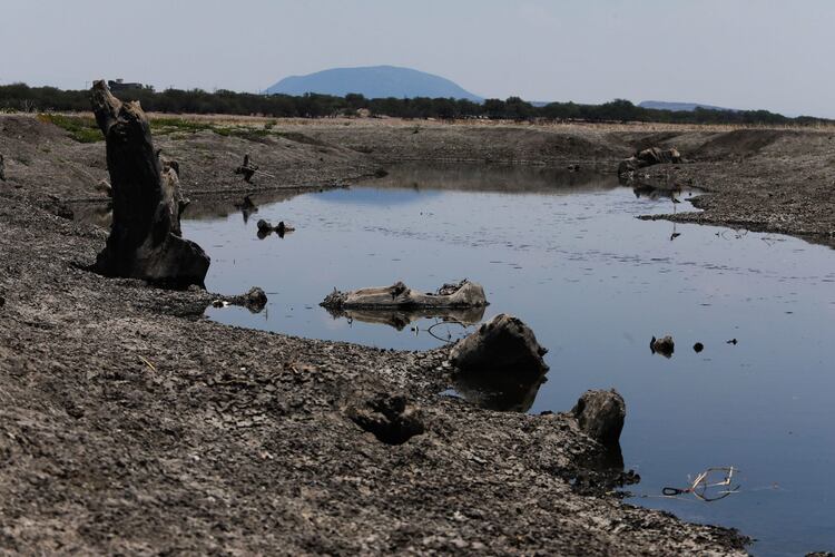 Indicadores del SMN muestran que México alcanza su mejor registro de sequía desde 2021.