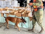 Aseguran cigarros ilegales
