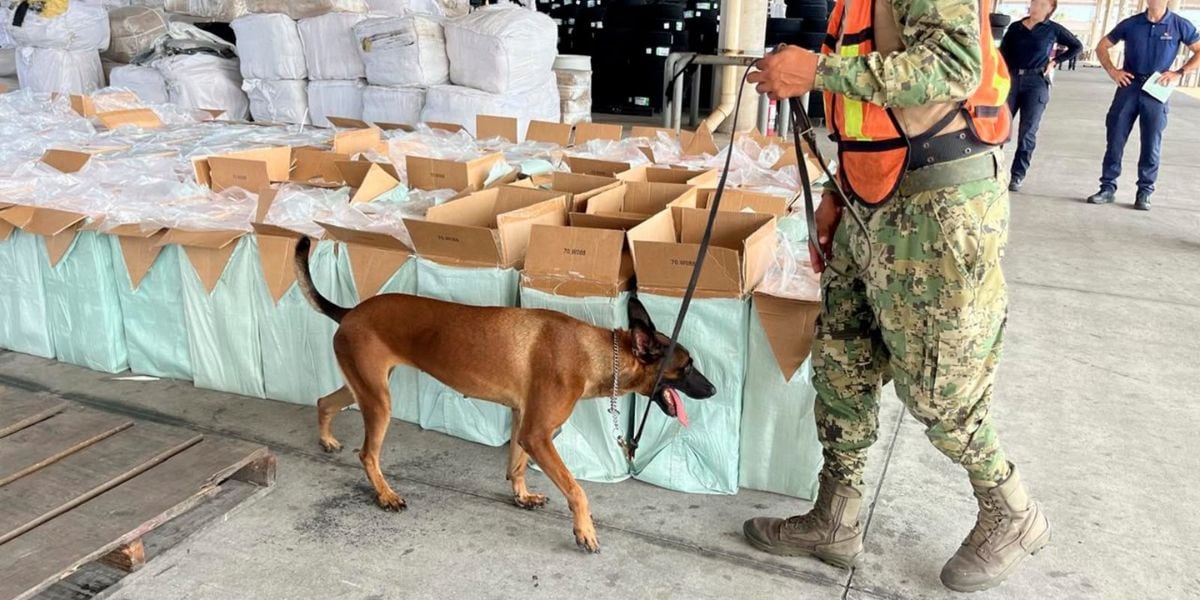 Camuflan casi 10 millones de cigarros pirata en cargamento de vasos