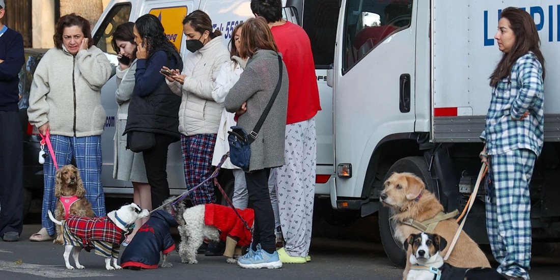 Capitalinos salieron en pijama y con sus animales de compañía tras el sismo de 6.5 que se sintió poco antes de las ocho de la mañana el 2 de enero de 2026