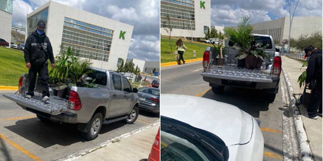 Subsecretario zacatecano se lleva las macetas de la oficina de gobierno