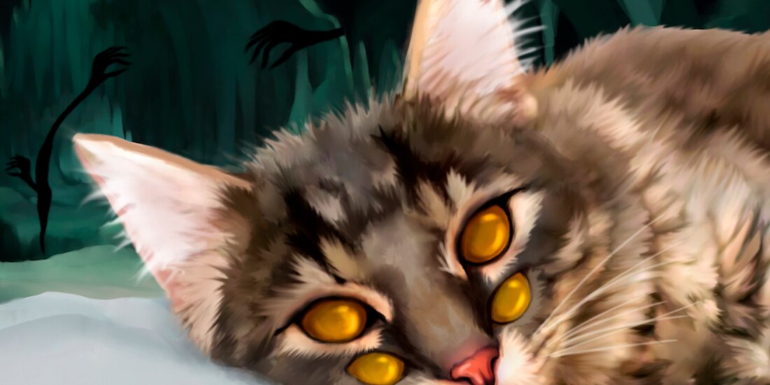 De noche todos los gatos son pardos