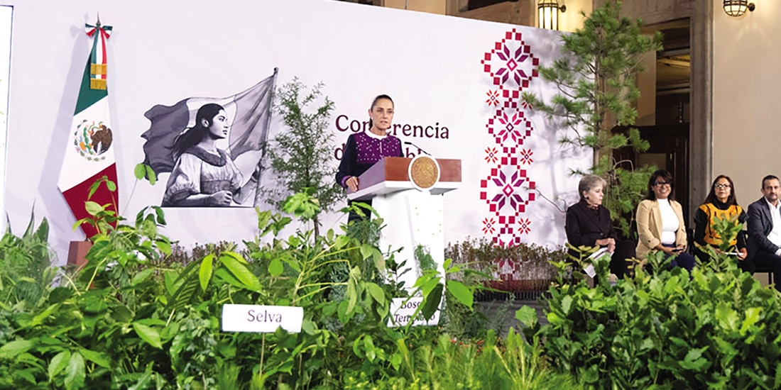 Impulsan plan de reforestación en todo el país