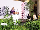 Impulsan plan de reforestación en todo el país