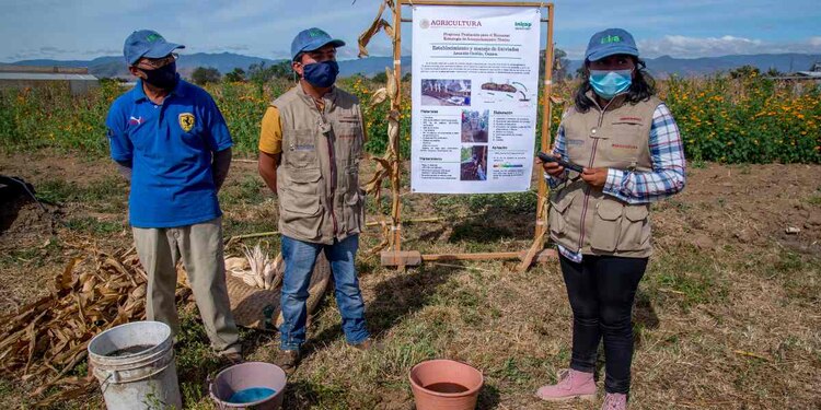 Víctor Villalobos Arámbula llamó a las instituciones de educación superior vinculadas a las ciencias agropecuarias a asumir un mayor protagonismo en la transformación del sector primario mexicano.