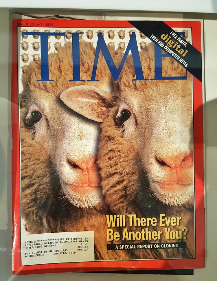 La clonación de la oveja Dolly fue un hito de la segunda mitad de los 90.