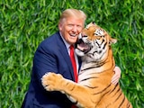 Donald Trump imita video de William Chapman