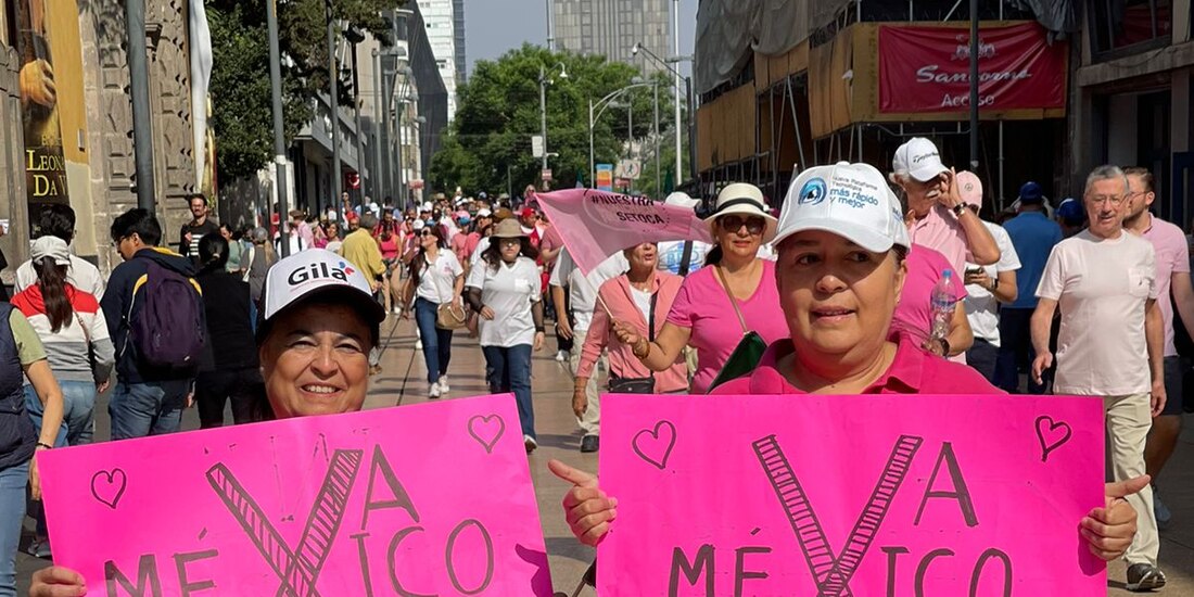 Manifestantes de la "marea rosa" en el Centro Histórico.
