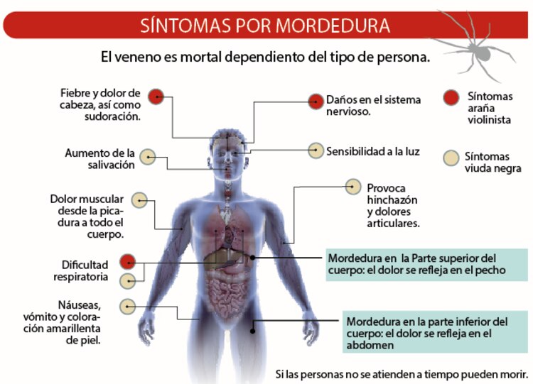 Síntomas por mordedura