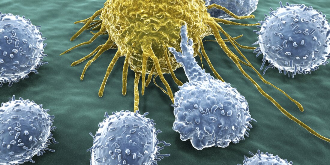 Crecen muertes por tumores malignos.