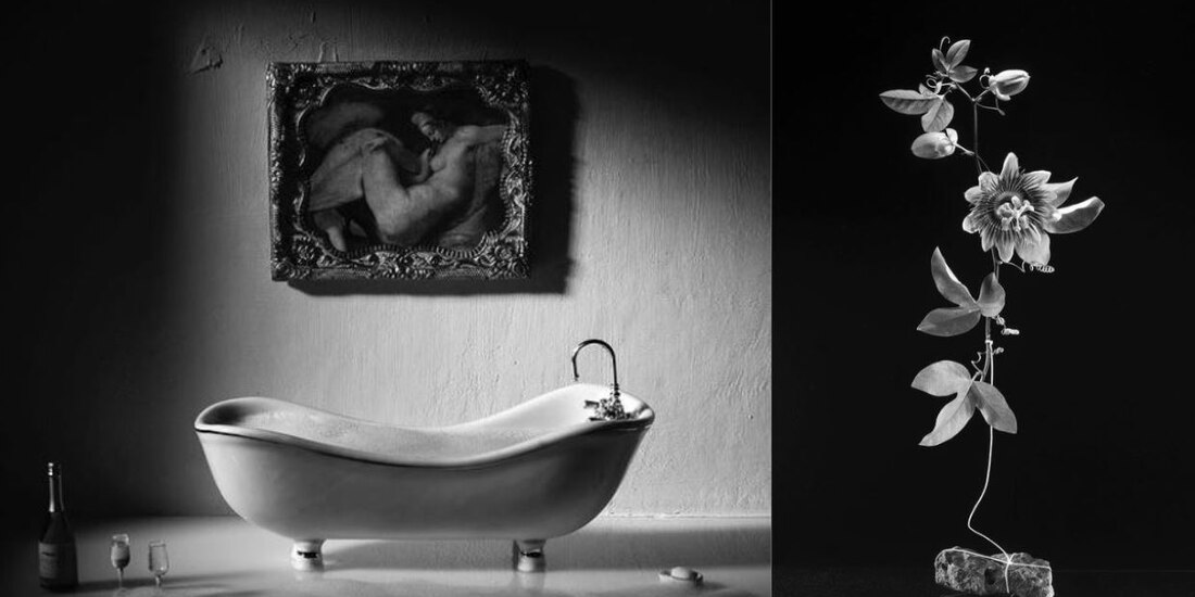 Dos artistas mexicanas presentan su obra en Patricia Conde Galería en el Fotoseptiembre