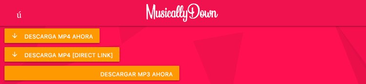 Elige el formato de descarga del TikTok que quieras obtener sin marca de agua