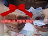 ¿A quiénes les tocará recibir su aguinaldo en noviembre?