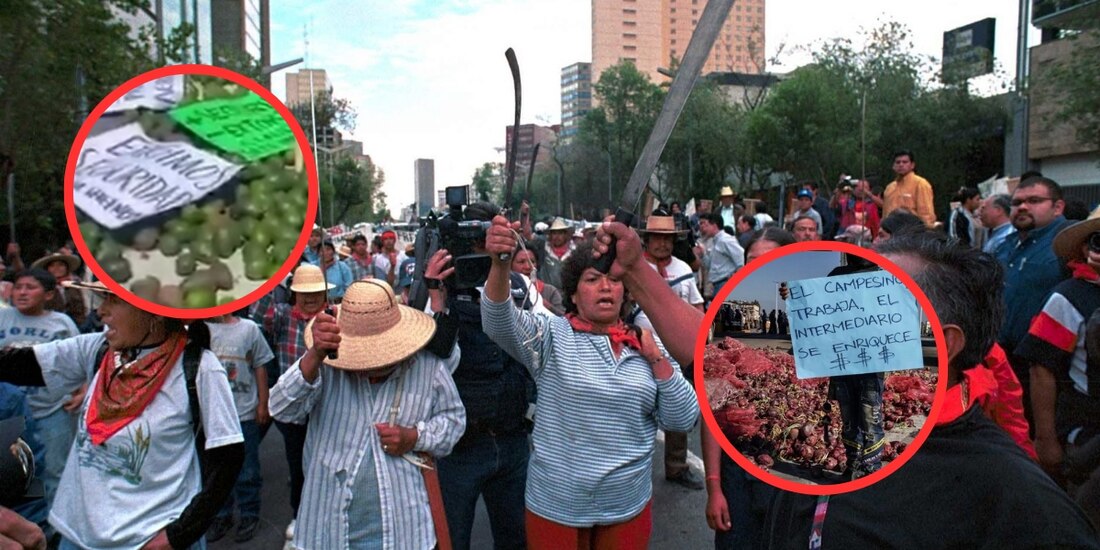 Paro Nacional de Productores genera afectaciones en vías federales mientras autoridades coordinan diálogo