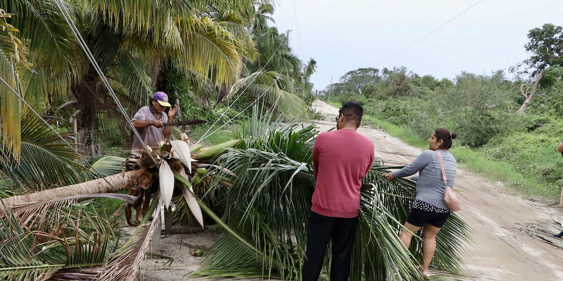 Habitantes realizan labores de limpieza en caminos tras paso de 'Erick'