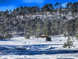 Miquihuana. Esta región boscosa ubicada en lo más alto de la Sierra Madre, está a menos de dos horas de Ciudad Victoria. Es el sitio perfecto para acampar y hacer actividades al aire libre; su belleza se ve exponenciada en invierno.
