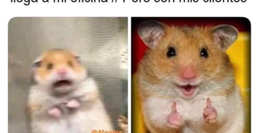 Los mejores memes por el Día del Abogado en La Razón.