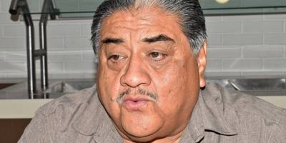 Javier Borrego Adame, Diputado de Morena.