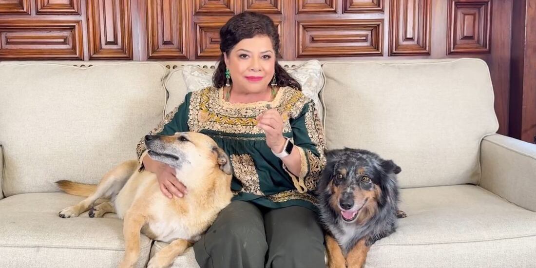 Clara Brugada invita a capitalinos al Adoptatón, iniciativa para brindar un hogar a perros y gatos.