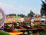 Ya se acerca el evento de la Feria de la Nieve en Xochimilco.