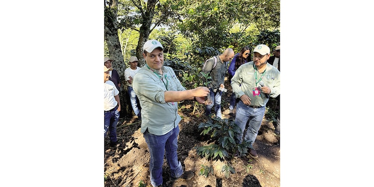 Starbucks le "devuelve la mano" a México con icónico lanzamiento