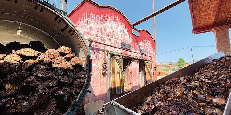 Tequila, un viaje que fusiona tradición y sabor