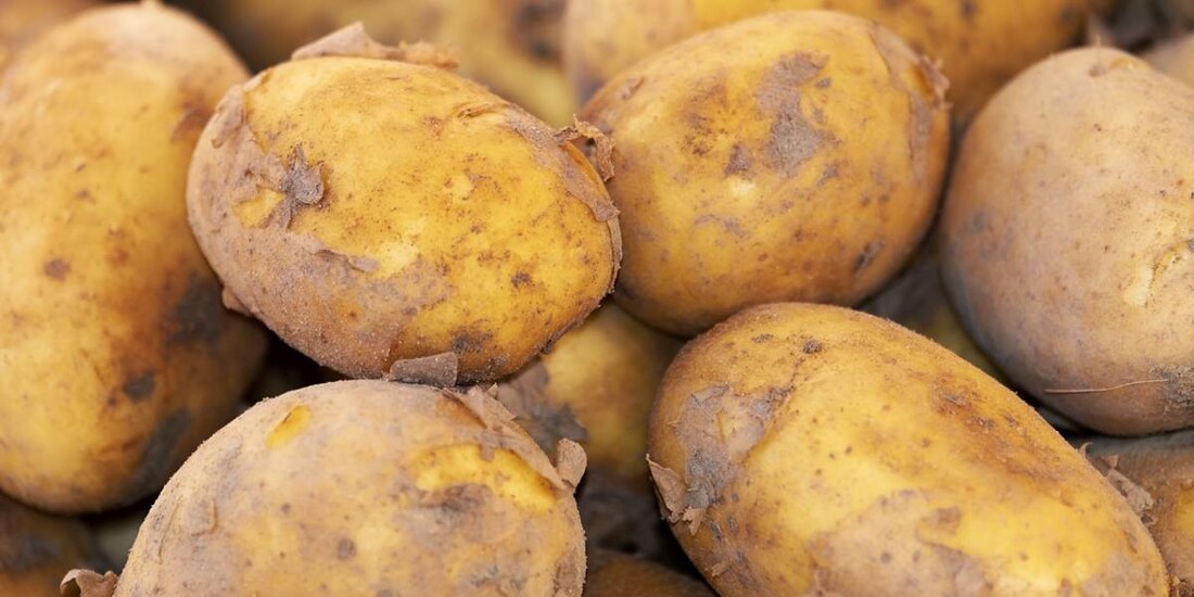 El Gobierno federal ha realizado estudios en los que se demuestra que de las 83 plagas identificadas como inexistentes en nuestro territorio..