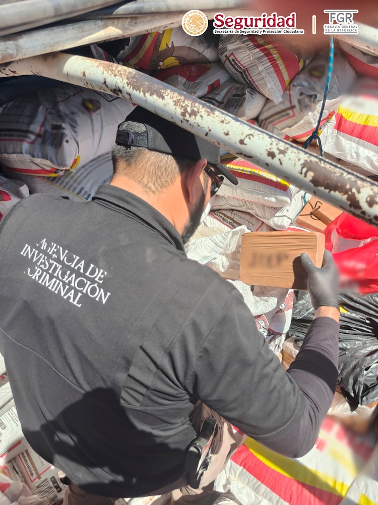 Identificaron la carga tras una inspección