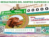 Resultados del Sorteo Superior 2876 del 13 de marzo del 2026.