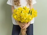 Las flores amarillas se regalan cada 21 de septiembre.
