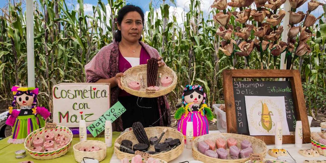 Agricultura emprende acciones para la preservación de 64 razas de maíces nativos de México.