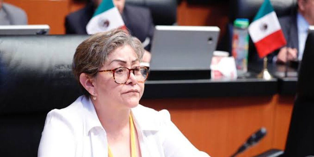 La senadora Martha Guerrero es suplente de Delfina Gómez, quien tomó las riendas de la SEP hace casi un año.
