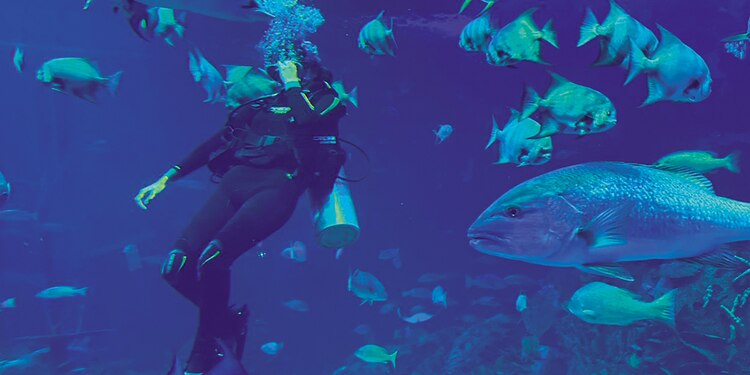 Acuario del Mar de Cortés con la pecera más grande de AL.