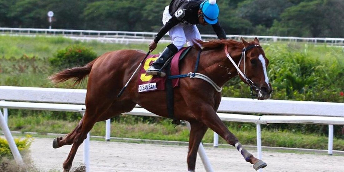 Ocean Bay rozó la Triple Corona en 2016 (Twitter/ jcpb3582)