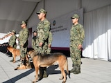 La Semar retiró del servicio activo a Niko, Hunter e Hidra