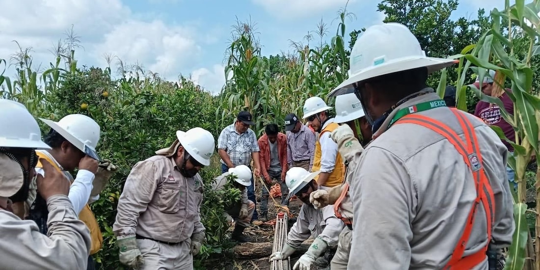 Personal de la CFE realiza labores de reparación en la red eléctrica de Guerrero.