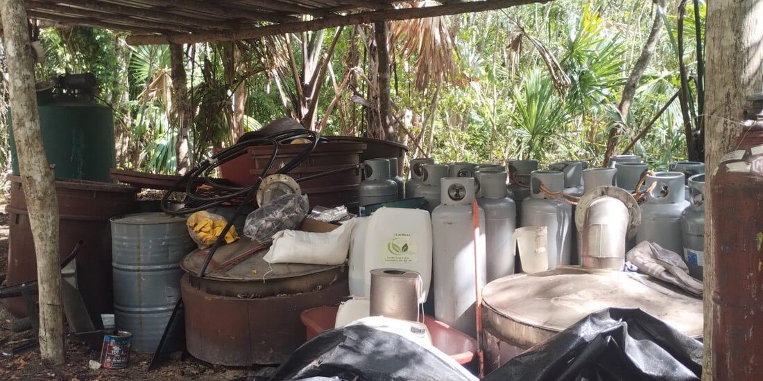 Autoridades de los tres niveles de gobierno aseguraron dos puntos presuntamente utilizados para la elaboración de drogas en QRoo.