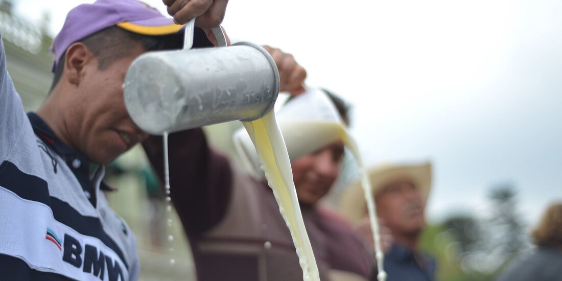 Productores de leche.