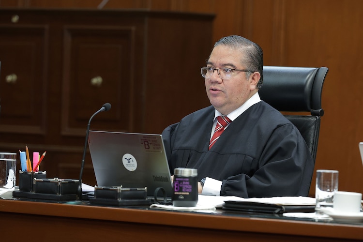 El ministro Irving Espinoza Betanzo, en sesión de la SCJN.